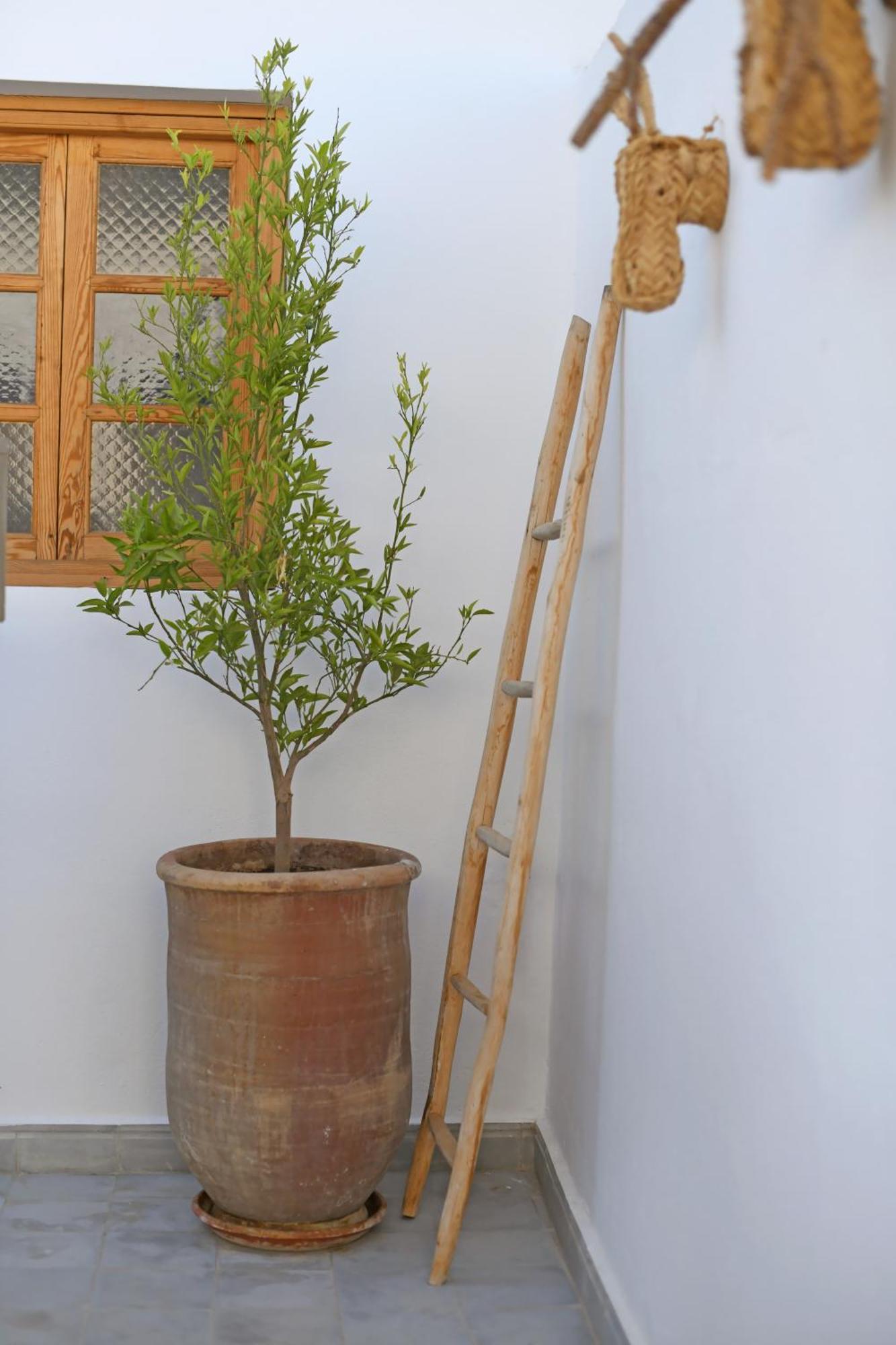 Riad Larbi Khalis Marrakesh Exterior photo